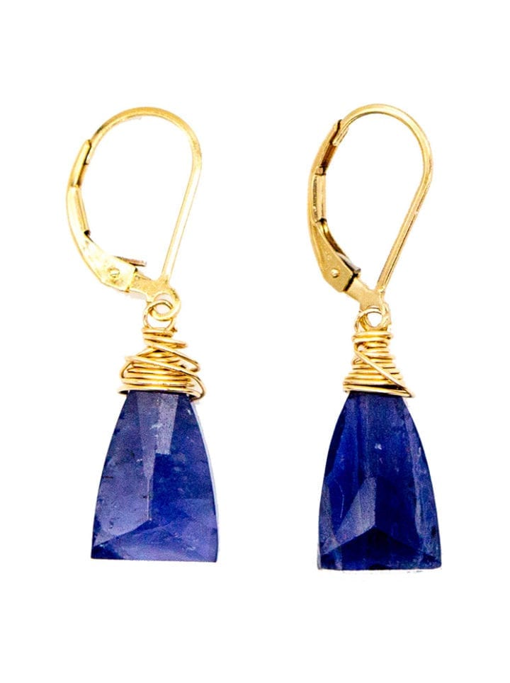 Iolite Drop Earrings