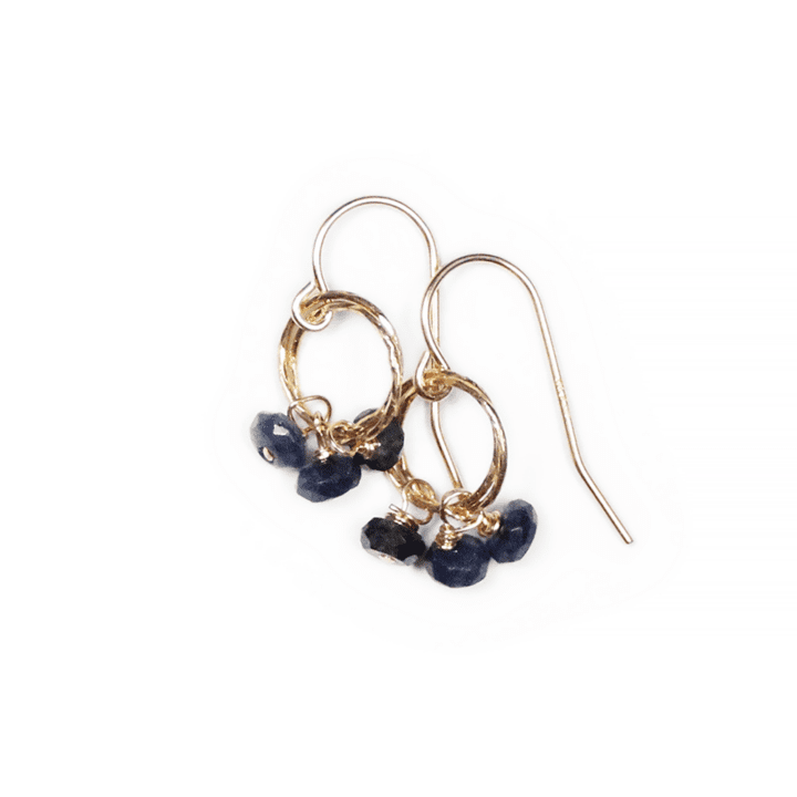 CE168 Sapphire Rondelle Stardust Drop Earrings