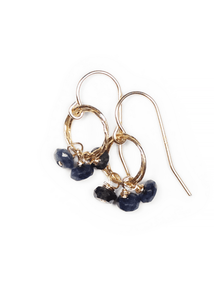 CE168 Sapphire Rondelle Stardust Drop Earrings
