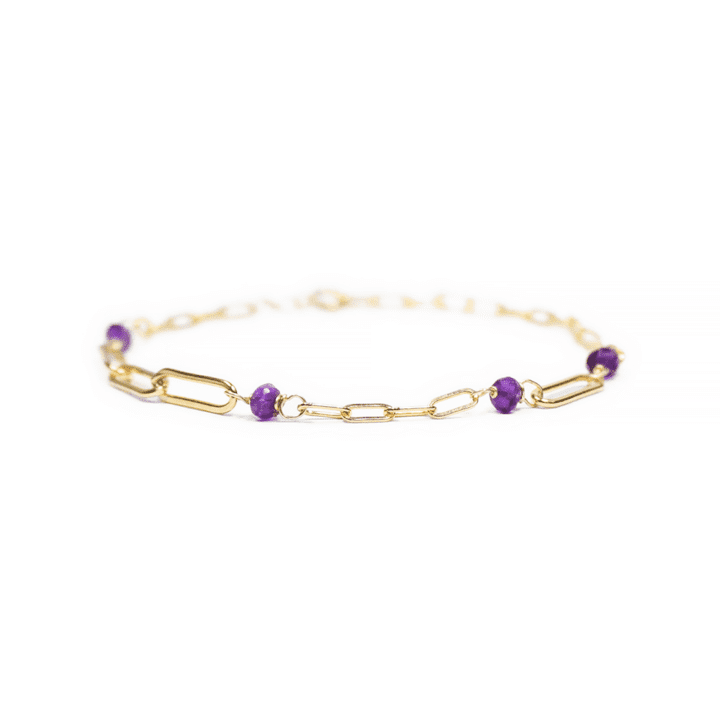 Amethyst 14k Gold Filled Duo Paperclip Anklet | Handcrafted Bloom Jewelry