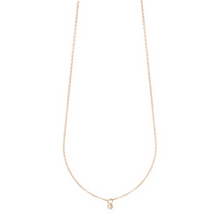 Diamond Coin Delicate 14k Gold Necklace | Bloom Jewelry Fine Jewelry Collection