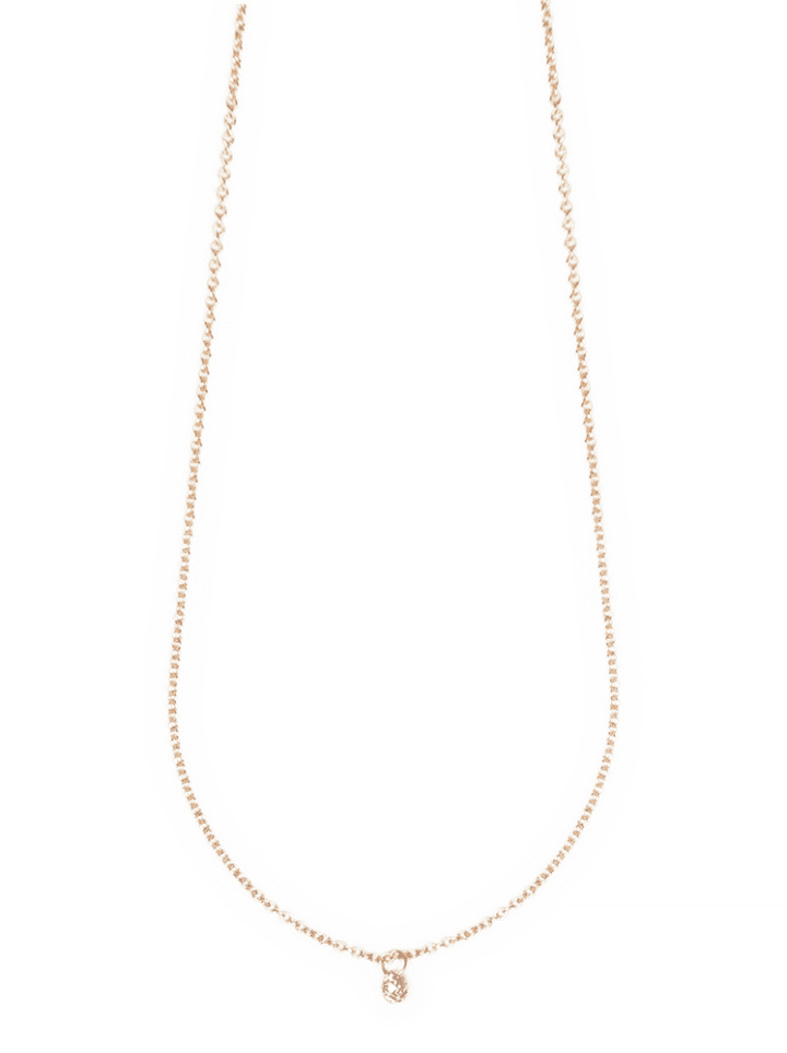 Diamond Coin Delicate 14k Gold Necklace | Bloom Jewelry Fine Jewelry Collection